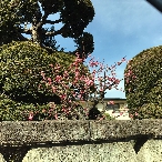 写真６