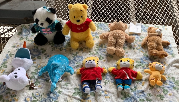 写真２０　キレイになって、毛並みを乾かすぬいぐるみ達
