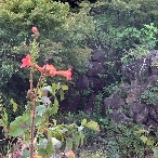 写真２１－１