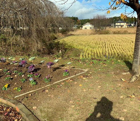 写真９　冬の日差し・能登