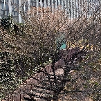 写真１３－１