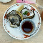 写真１５－２