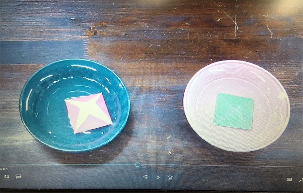 写真2-8  水（左）と溶剤（右）・折り紙の変化